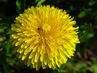 Similar image 172985