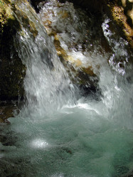 Similar image 172992