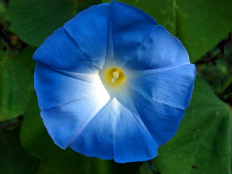 Similar image 172995