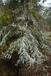 Similar image 173013