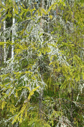 Similar image 173014