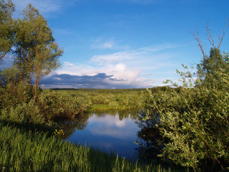 Similar image 173018