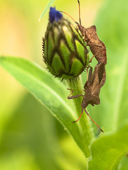 Similar image 173042