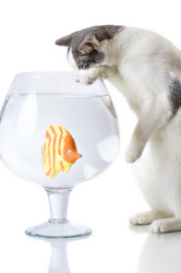 Similar image 173080