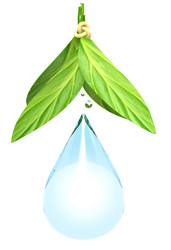 Similar image 173096