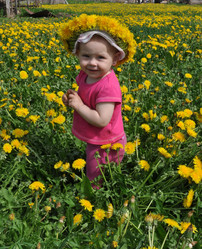 Similar image 173175