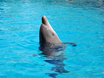 Similar image 173206