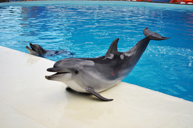 Similar image 173211