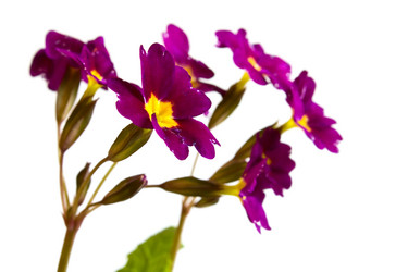 Similar image 173256