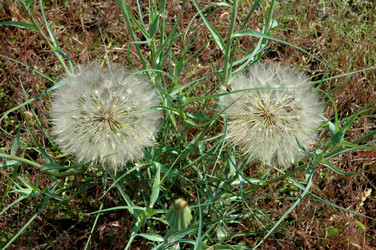 Similar image 173268