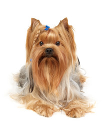 Similar image 173297