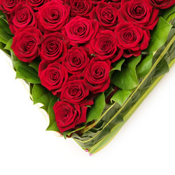 Similar image 173298