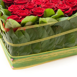 Similar image 173299