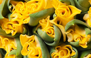 Similar image 173300