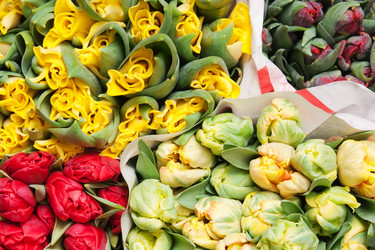 Similar image 173302