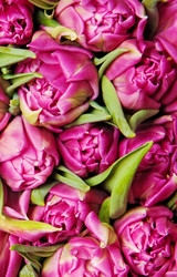 Similar image 173303