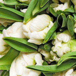 Similar image 173304