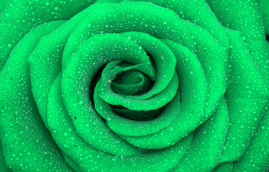 Similar image 173305