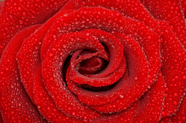 Similar image 173306