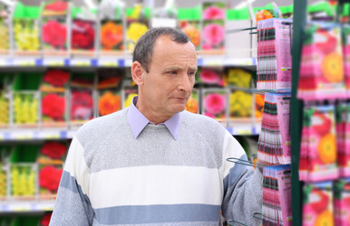 Similar image 173309