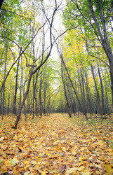 Similar image 173318