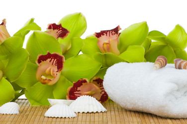 Similar image 173324