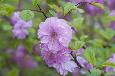 Similar image 173349