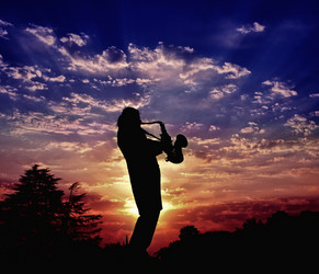 Similar image 173384