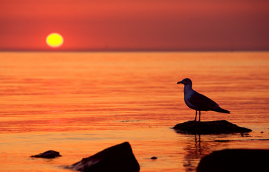 Similar image 173385