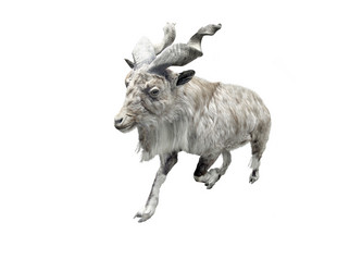 Similar image 173391