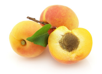 Similar image 173433