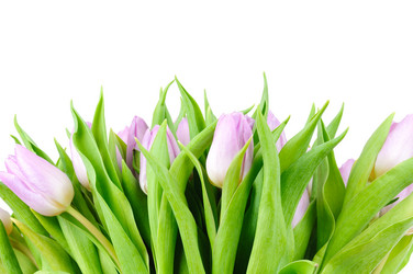 Similar image 173447