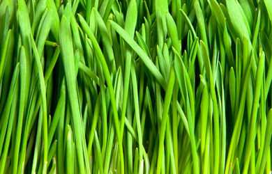 Similar image 173453