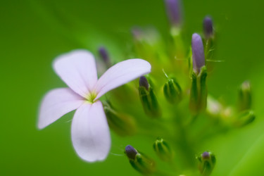 Similar image 173462