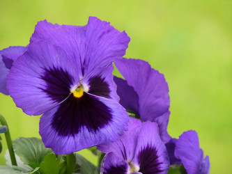 Similar image 173477