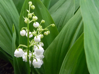 Similar image 173483