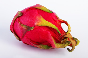 Similar image 173491