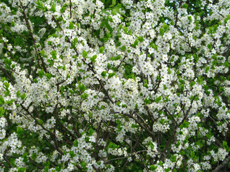 Similar image 173493