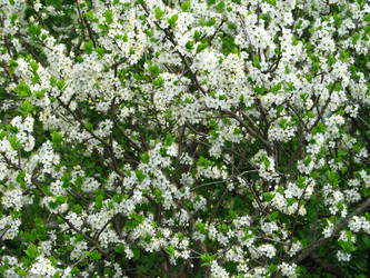 Similar image 173494