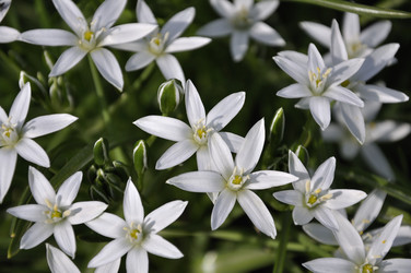 Similar image 173498