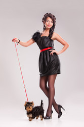 Similar image 173518