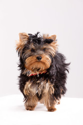 Similar image 173589