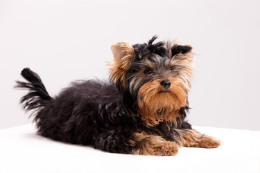 Similar image 173590