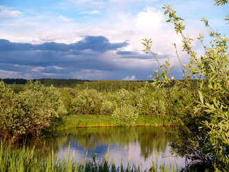 Similar image 173622