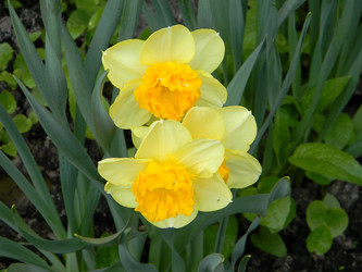 Similar image 173636