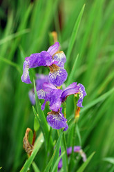 Similar image 173637