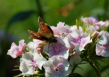 Similar image 173639