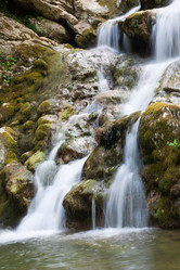 Similar image 173653