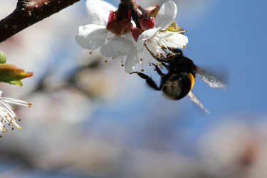 Similar image 173678