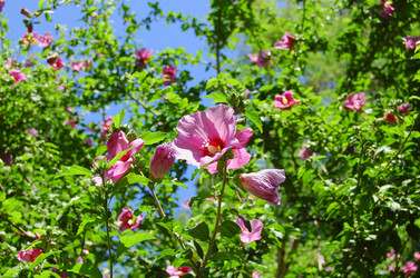 Similar image 173686